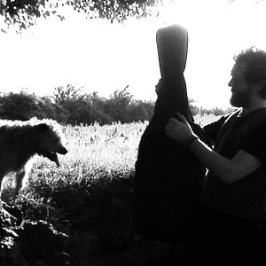 Photo The Swell Season