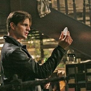 Photo Gale Harold