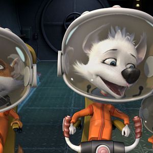 Photo Space Dogs