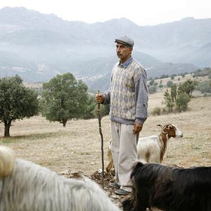 Photo Oğul