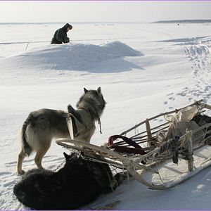 Photo Happy People: A Year in the Taiga