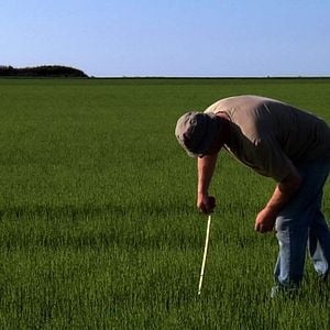 Photo La Pluie et le beau temps