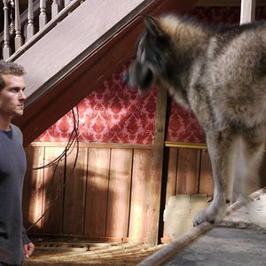 Photo Wolf Town