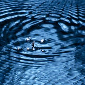 Photo Marie Pérennou