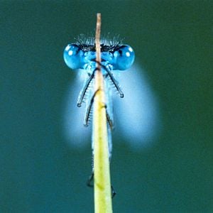 Photo La Clé des champs