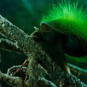 Photo La Clé des champs