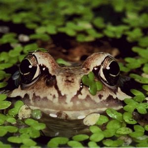 Photo La Clé des champs