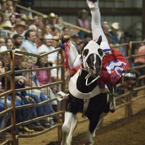 Photo Rodeo Princess