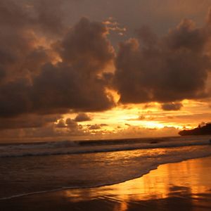 Photo Jenglot pantai selatan