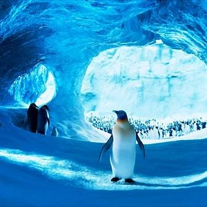 Photo Happy Feet 2