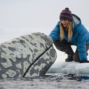 Photo Miracle en Alaska