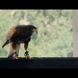 Photo Haus Anubis - Pfad der 7 Sünden