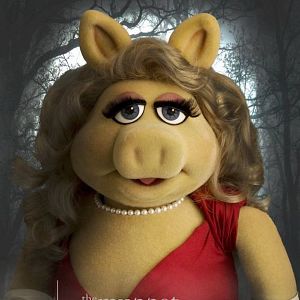 Photo Les Muppets, le retour