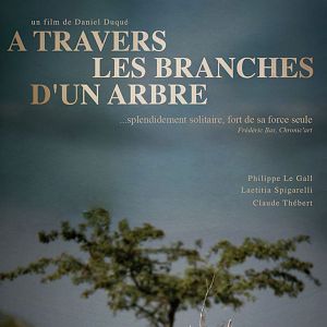 Photo A travers les branches d'un arbre