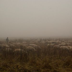 Photo Hors des sentiers battus