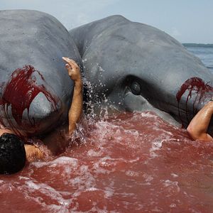 Photo L'Attaque du requin à deux têtes