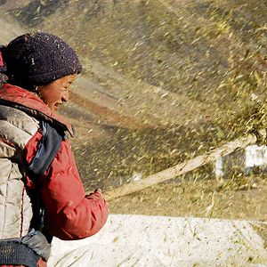 Photo Himalaya, terre des femmes
