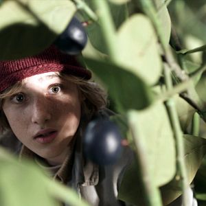 Photo Le Merveilleux voyage de Nils Holgersson au pays des oies sauvages