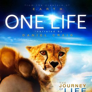 Photo One Life