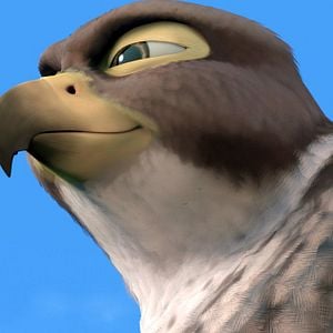 Photo Drôles D'oiseaux