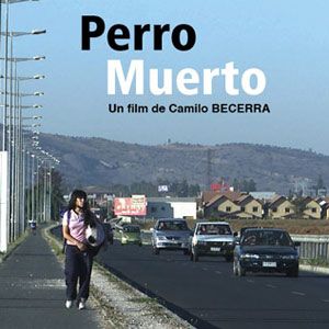 Photo Perro Muerto