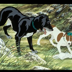 Photo The Plague Dogs