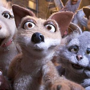 Photo Mongrels
