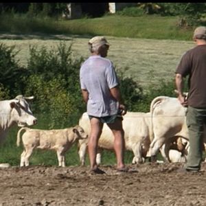 Photo Jacques Goldstein