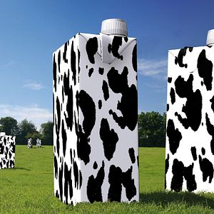 Photo Jacques Goldstein