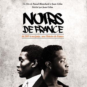 Photo Noirs de France : De 1889 à nos jours : une histoire de France