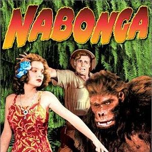 Photo Nabonga le gorille