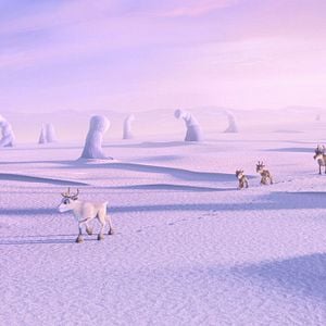 Photo Niko le petit Renne 2