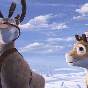 Photo Niko le petit Renne 2