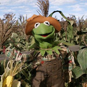 Photo Le Magicien d'Oz des Muppets