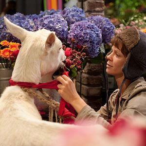 Photo Jessica Schwarz