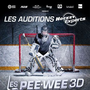 Photo Les Pee-Wee 3D: L'hiver qui a changé ma vie
