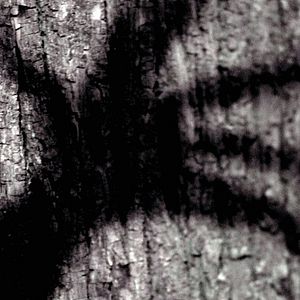 Photo Wer hat Angst vorm schwarzen Mann?
