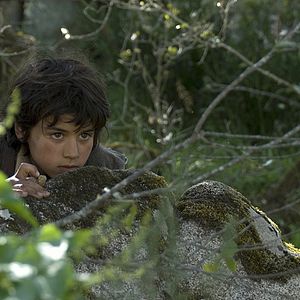Photo L'Enfant loup