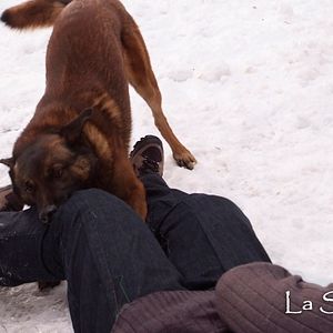 Photo L'Emprise du mal