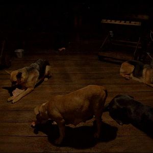 Photo Post Tenebras Lux