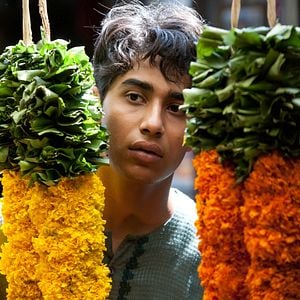 Photo L'Odyssée de Pi