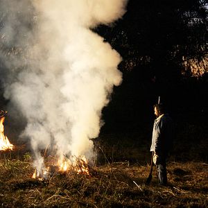 Photo Près du feu