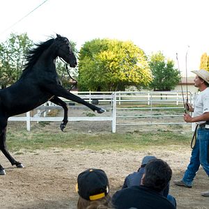 Photo Flicka 3 : Meilleures amies