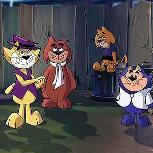 Photo Top Cat