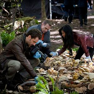 Photo Hettienne Park