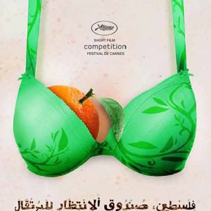 Photo Palestine, caisse d'attente des oranges