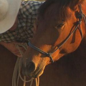 Photo Wild Horse, Wild Ride