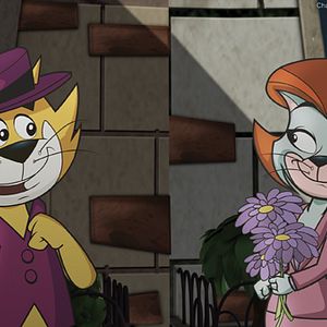 Photo Top Cat