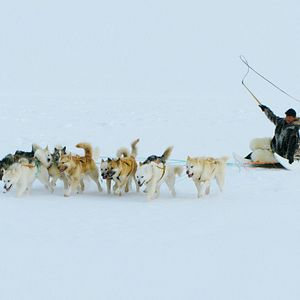 Photo Voyage d’Inuk