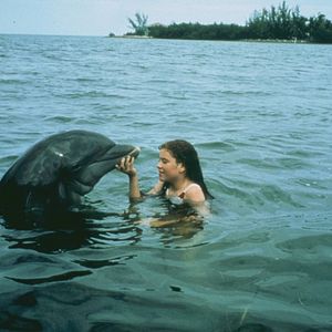 Photo La Grenouille et la Baleine